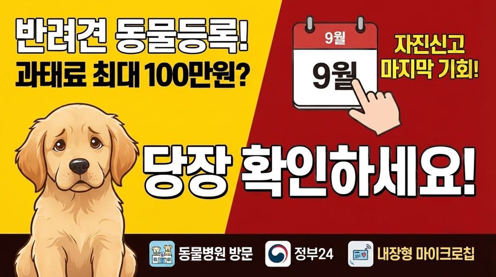 반려견 동물등록 과태료