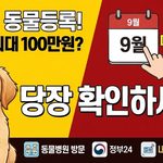 반려견 동물등록 과태료